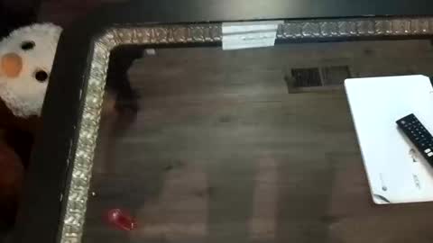 LjCherry online show from 11/01/25, 07:21