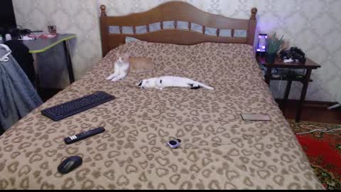 Snapshot of llevella chatting on 12/30/24, 12:11 Sevy online show from 12/30/24, 12:11