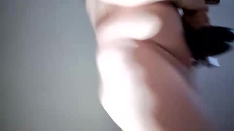 lllortx online show from 02/17/26, 04:24