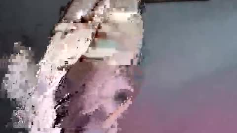 lllortx online show from 03/05/26, 04:25