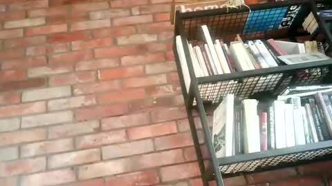 Snapshot of lllukasssxxx chatting on 11/01/25, 09:33 lllukasssxxx online show from 11/01/25, 09:33