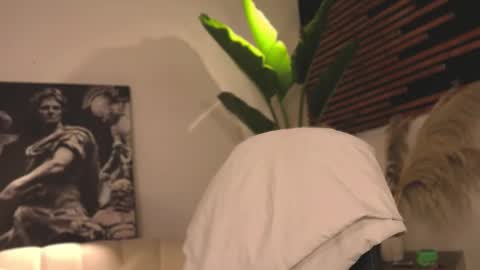 Snapshot of logan_varela chatting on 02/05/25, 04:16 logan_varela online show from 02/05/25, 04:16