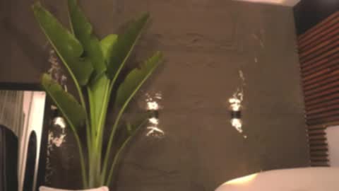 Snapshot of logan_varela chatting on 02/27/25, 06:07 logan_varela online show from 02/27/25, 06:07