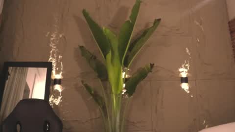 Snapshot of logan_varela chatting on 03/01/25, 09:18 logan_varela online show from 03/01/25, 09:18