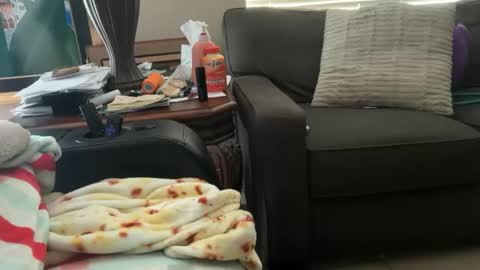 Snapshot of logical12345 chatting on 11/18/25, 10:14 logical12345 online show from 11/18/25, 10:14