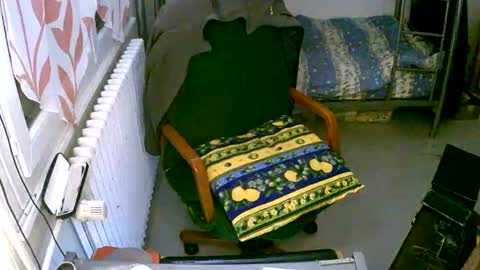 lokoum39 online show from 12/02/24, 05:15