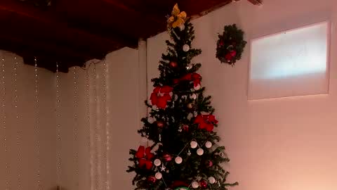 Snapshot of lola_cocks chatting on 12/06/24, 07:56 mara online show from 12/06/24, 07:56