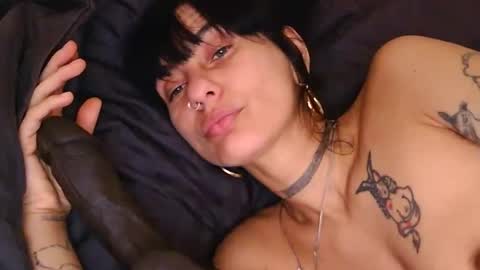 Snapshot of lola_midnight chatting on 04/11/26, 07:45 Lola Midnight online show from 04/11/26, 07:45