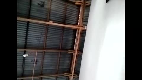 tey online show from 11/12/25, 11:25