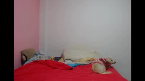 Snapshot of lolitabitchhorney_ chatting on 05/19/26, 08:04 Lolita online show from 05/19/26, 08:04