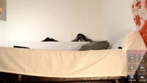 Miss Lolla online show from 10/27/25, 06:50