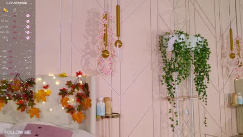 Lolly online show from 01/30/25, 11:22