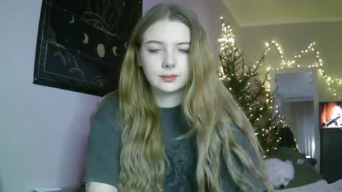 Snapshot of lollylol11 chatting on 12/29/24, 01:17 Lilly online show from 12/29/24, 01:17