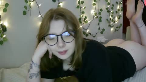 Snapshot of lollylol11 chatting on 03/09/25, 02:32 Lilly online show from 03/09/25, 02:32