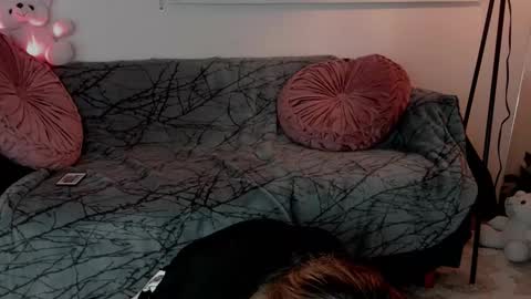 Snapshot of lollypetitte_ chatting on 02/24/26, 05:16 Lolly online show from 02/24/26, 05:16