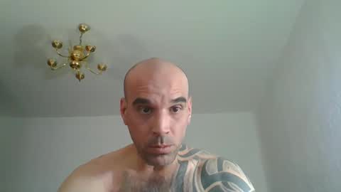 Snapshot of lolotatto chatting on 04/03/26, 03:32 lolotatto online show from 04/03/26, 03:32