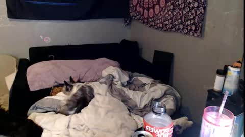 Snapshot of londonray chatting on 11/15/25, 11:40 londonray online show from 11/15/25, 11:40