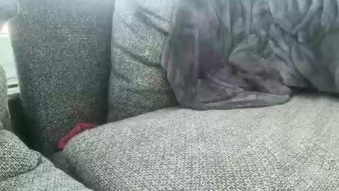 longjohnson94435702 online show from 03/02/25, 07:54