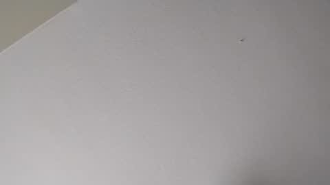 Snapshot of longloadedtx chatting on 01/16/26, 11:09 Mr. FogoDeChao online show from 01/16/26, 11:09