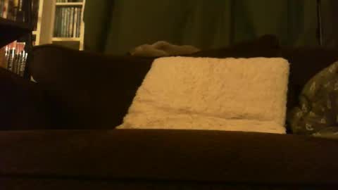 longlorne online show from 02/15/26, 04:31