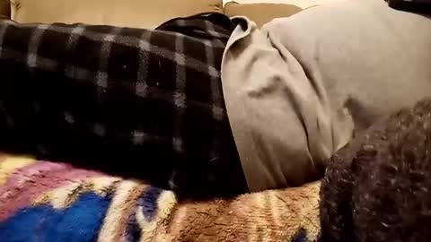 Snapshot of looking4bush chatting on 12/01/24, 10:43 looking4bush online show from 12/01/24, 10:43