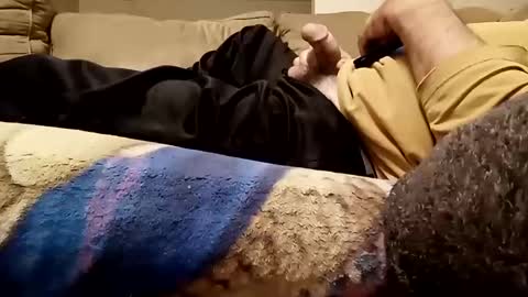 looking4bush online show from 11/12/25, 04:46