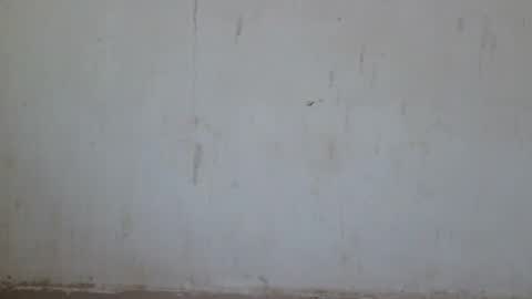 Snapshot of loraa_baby chatting on 06/28/26, 12:49 Loraa online show from 06/28/26, 12:49