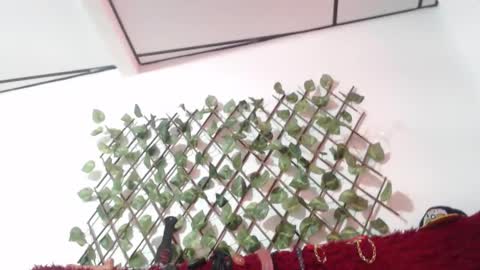 lorena  allison online show from 10/29/25, 08:32