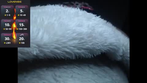 lorenitha online show from 10/27/25, 02:59