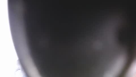 Snapshot of lorex_27 chatting on 07/09/26, 12:15 lorexxw online show from 07/09/26, 12:15