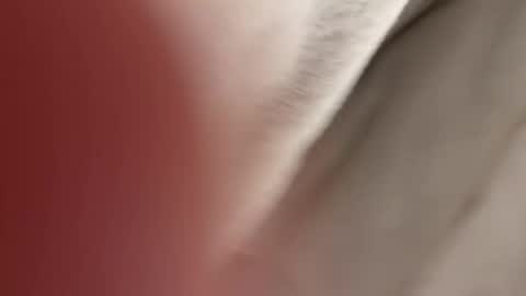 Snapshot of lost_surprise chatting on 04/14/26, 03:56 lost_surprise online show from 04/14/26, 03:56