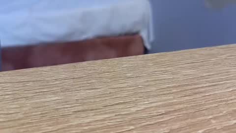 Snapshot of lou_rosse chatting on 01/22/25, 08:49 Lou Rosse online show from 01/22/25, 08:49