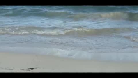 Louis online show from 11/05/25, 09:04