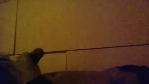 lovebignip online show from 02/16/26, 05:14