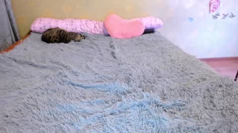 cat-girl online show from 01/01/25, 05:22