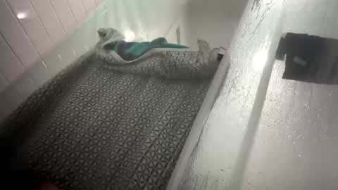 lovefeetonmyface29 online show from 09/22/25, 09:55