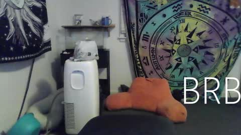 Snapshot of lovefun11334 chatting on 01/18/25, 12:46 Bigtitsgirl113 online show from 01/18/25, 12:46