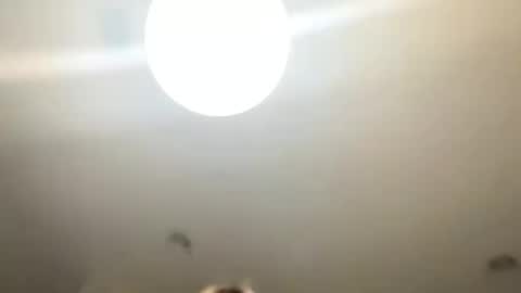 Snapshot of lovellly_ chatting on 01/24/25, 10:51 Love online show from 01/24/25, 10:51