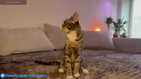 Elsa online show from 10/22/25, 11:54