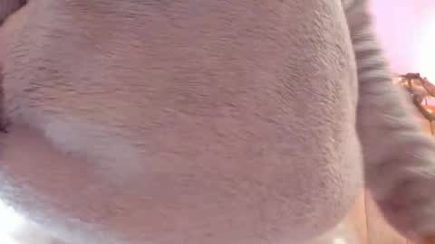 L O V E  online show from 10/29/25, 11:56