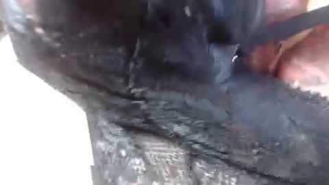 Mature lover2 online show from 02/27/25, 09:14