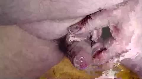 lover_troll online show from 02/16/26, 10:44