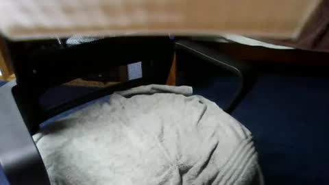 Snapshot of lovetolick272988 chatting on 10/21/25, 02:34 lovetolick272988 online show from 10/21/25, 02:34