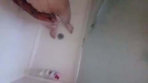 Snapshot of lovladysfeet chatting on 10/12/25, 07:35 2096512345 online show from 10/12/25, 07:35