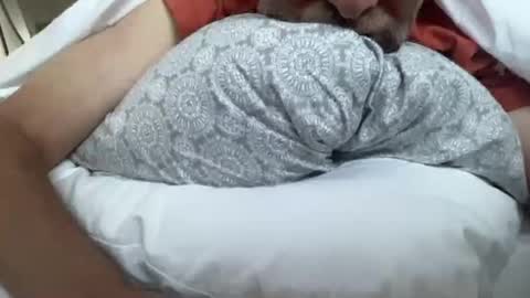 Snapshot of lqi chatting on 09/16/25, 11:00 lqi online show from 09/16/25, 11:00