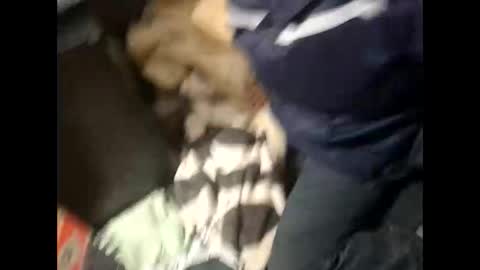 Snapshot of lshot_d chatting on 11/28/25, 08:00 Lshot D online show from 11/28/25, 08:00