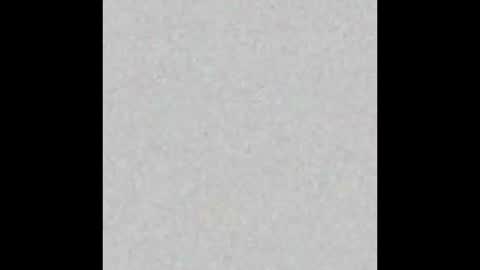   online show from 02/19/26, 11:06