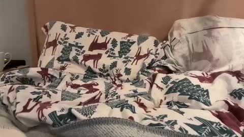 Snapshot of lucca_d123 chatting on 09/22/25, 07:21 lucca_d123 online show from 09/22/25, 07:21