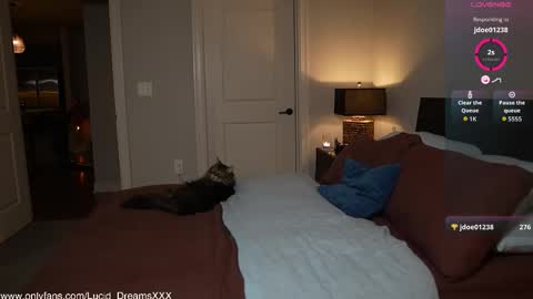 Snapshot of lucid_dreamsxxx chatting on 10/15/25, 12:00 Lucid Lu online show from 10/15/25, 12:00