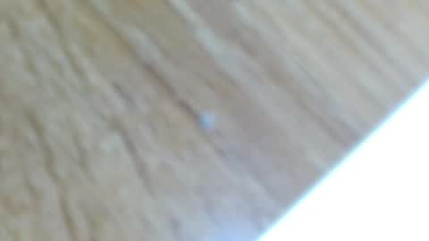 Lucie   online show from 12/13/24, 12:31